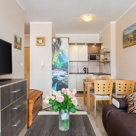 Rent Like - Zlote Tarasy